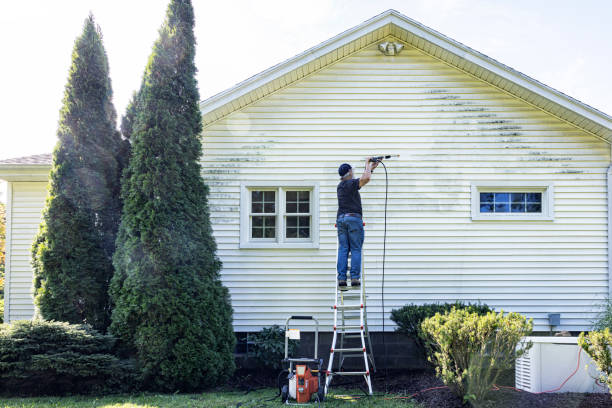Professional Pressure Washing Services in Temperance, MI